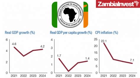 100 top companies and startups in Zambia in August 2024 .